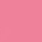 Strawberry-Shortcake